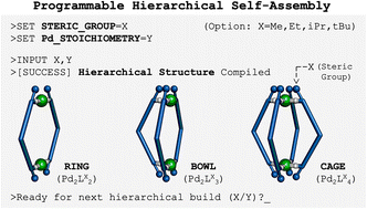 Graphical abstract: Steric engineering of PdII–ligand coordination pathways: hierarchical control from functionally addressable intermediates to supramolecular architectures