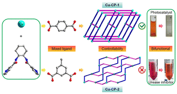 Graphical abstract: Fabrication of a copper-based coordination polymer as a bifunctional photocatalyst and urease inhibitor