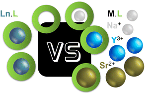 Graphical abstract: Investigating lanthanide complex stability through kinetic and thermodynamic competition with metal ions and DTPA