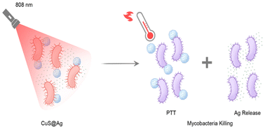 Graphical abstract: Silver-loaded hollow copper sulfide particles for antibacterial therapy