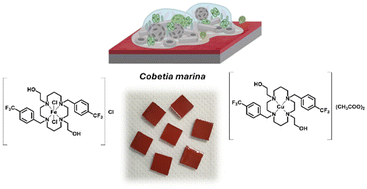 Graphical abstract: Cyclam-based Cu(ii) and Fe(iii) complexes for antifouling coating development
