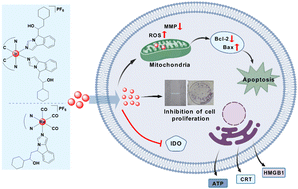 Graphical abstract: Iridium(iii)/rhenium(i) complexes bearing NLG919 as the ligand for enhanced triple-negative breast cancer therapy