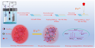 Graphical abstract: Synthesis of europium-based fluorescent films for high-sensitivity detection of iron ions via layered precursor anion exchange