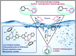 Graphical abstract: C2-Symmetric Ru(ii) bimetallic complex catalysed selective degradation and value addition of azo dyes