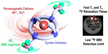Graphical abstract: Trifluoroborate-appended cyclen complexes of paramagnetic transition metals (Ni2+, Co2+) as fast-relaxing 19F MRI probes