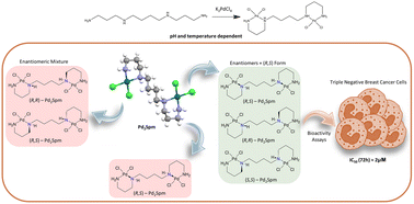 Graphical abstract: Palladium(ii) anticancer agents: the intricate case of the Pd–spermine complex