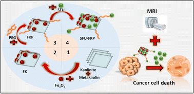 Graphical abstract: Bilayer inorganic/organic metakaolin/polyethylene glycol-coated magnetite nanoparticles: MRI transverse relaxivity, cytocompatibility, and 5-fluorouracil release behavior