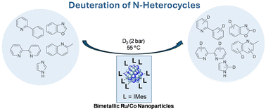 Graphical abstract: Bimetallic Ru/Co nanoparticles stabilized by N-heterocyclic carbenes as catalysts for H/D exchange in N-heterocycles with deuterium gas