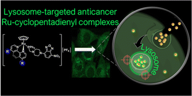 Graphical abstract: Lysosome-targeted Ru(ii)–cyclopentadienyl organometallic anticancer complexes