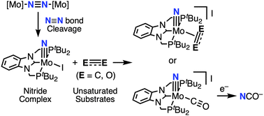 Graphical abstract: Reactivity of a molybdenum–nitride complex bearing an NHC-based PCP-type pincer ligand toward unsaturated substrates