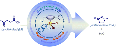 Graphical abstract: Dinuclear p-cymene ruthenium hydrido complexes as active catalysts for the hydrogenation of levulinic acid to γ-valerolactone with formic acid as the hydrogen source