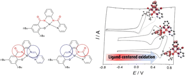 Graphical abstract: Defining the oxidation site in Cu(ii) and Ni(ii) complexes of ligands combining amido, phenolato and pyridine donors.