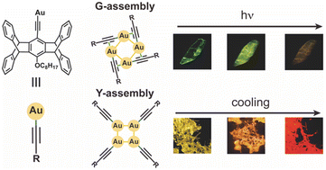Graphical abstract: Assembly-dependent thermochromic and photochromic luminescence in pentiptycene-based homoleptic gold(i) alkynyl clusters [(AuC [[triple bond, length as m-dash]] CR)n]