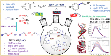 Graphical abstract: Group 10 complexes of benzothiazolehydrazone- and imidazo[1,5-a]pyridine-based ligands: structural artistry, biophysical study, and catalytic activity