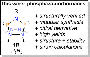 Graphical abstract: Phosphaza-norbornanes