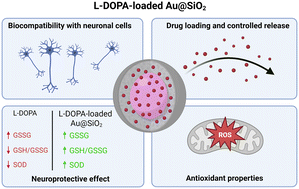 Graphical abstract: Nanostructures based on gold and silica as a delivery platform for enhanced l-DOPA therapy in neurodegenerative disease