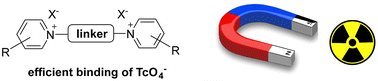 Graphical abstract: Novel hydrophilic cationic receptors for binding the pertechnetate anion in aqueous solutions. Quantum-chemical modeling, synthesis, structure and properties