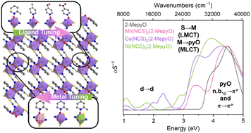 Graphical abstract: Structural and electronic tuning of hybrid metal thiocyanate N-oxides