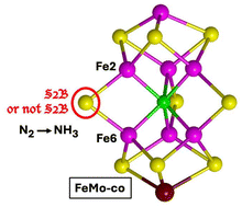 Graphical abstract: S 2B or not 2B?