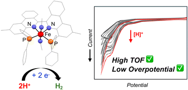 Graphical abstract: A tetradentate benzannulated P^N^N^P ligand and its Fe(ii) complex: synthesis, characterization, and electrocatalytic hydrogen evolution