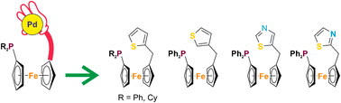 Graphical abstract: Synthesis, coordination, and catalytic application of phosphinoferrocene ligands bearing flexible thienyl and thiazolyl pendants