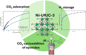 Graphical abstract: Dual-function Ni-based MOF for hydrogen storage and CO2 to carbonate cyclic catalysis