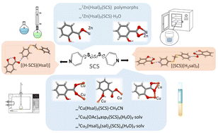 Graphical abstract: Structural diversity in Zn(ii)/Cu(ii) complexes with salicylic/acetylsalicylic acids and bis(4-pyridylthio)methane: coordination polymers, one organic cocrystal, and one organic salt