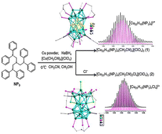 Graphical abstract: High-nuclearity Cu hydride nanoclusters of Cu22H19 and Cu20H13 consolidated by an N-containing triphosphine ligand: synthesis, characterization and catalysis
