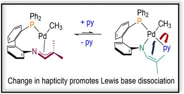 Graphical abstract: A change in ligand hapticity promotes Lewis base dissociation
