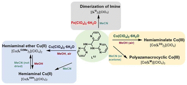 Graphical abstract: Solvent- and metal-gated coordination diversity in a dynamic aminal ligand