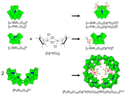 Graphical abstract: Reaction of a Cp*Ir(iii) cation with mono- and di-lacunary Keggin-type heteropolytungstates and a dimer of a hexa-lacunary Dawson-type phosphopolytungstate