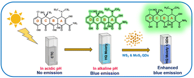 Graphical abstract: pH-Induced fluorescence emission in chlortetracycline and signal amplification using MoS2 and WS2 quantum dots