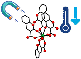 Graphical abstract: Unveiling single-ion magnetism in lanthanide–coumarin carboxylate coordination polymers