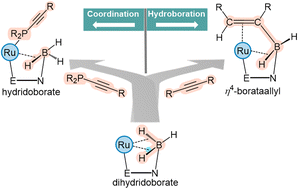 Graphical abstract: Hydroboration via metal-bound σ(B–H) bonds in Ru-(σ-borate) complexes: a pathway to η4-HBCC-σ,π-borataallyl complexes