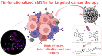 Graphical abstract: Engineered mesoporous silica nanosystems with organotin(iv) complexes containing 1-(quinolin-8-yliminomethyl)naphthalen-2-ol ligand for cancer cell targeting