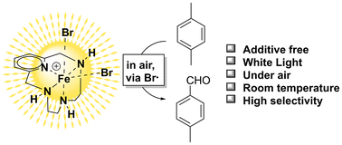 Graphical abstract: Photoactive Fe(iii) pyclen complexes for light-driven aerobic oxidation of p-xylene