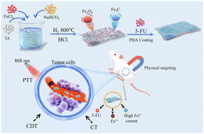 Graphical abstract: Engineering Fe3O4–Fe3C/C heterojunction nanosheets with multimodal therapy for tumor microenvironment-programmed drug delivery and enhanced chemodynamic therapy