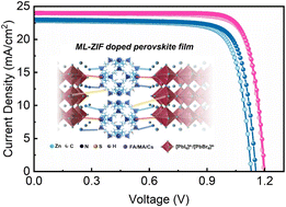 Graphical abstract: Mixed-ligand ZIF-doped perovskite films toward damp-heat-stable solar cells