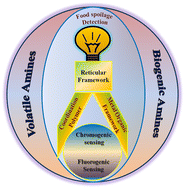 Graphical abstract: Recent advances in reticular frameworks and allied composite materials for ultrasensitive optical detection of biogenic and volatile amines in food spoilage monitoring