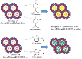 Graphical abstract: The adsorption features, surface polarity and enantioselectivity of the chiral zeolite-like material cobalt borophosphate