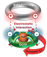 Graphical abstract: From polyamines to nanogels: a supramolecular approach for boosting relaxivity of [Gd(DOTP)]5−