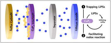 Graphical abstract: A copper phosphide electrocatalyst enables high-areal-capacity and long-term stability in lithium–sulfur pouch cells