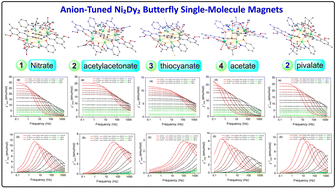 Graphical abstract: Magneto-structural and theoretical insights into Ni2Dy2 butterfly single-molecule magnets with diverse anionic co-ligands