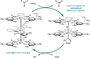 Graphical abstract: Crystallographic evidence of a trinuclear (salen)manganese(iv/iii/iv)–μ-oxo formed during catalytic C(sp3)–H oxidation reactions