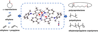 Graphical abstract: Phenoxybis(imine) complexes of vanadium: structure, ethylene polymerization, and ring opening polymerization of ε-caprolactone