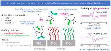 Graphical abstract: Surface interaction, polarity and probe mobility differences on organophosphonic-acid modified titania: a spin probe EPR study