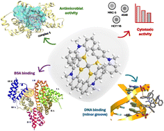 Graphical abstract: Silver(i) complexes with N-methylphenothiazine as potential antimicrobial agents with a multi-target mode of action