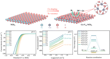 Graphical abstract: Synergistic Co-doping and Te-defects engineering in NiTe2 single-crystals for enhanced hydrogen evolution in acidic and alkaline environments