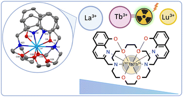 Graphical abstract: Hydroxyquinoline-functionalised aza-crown macrocycles for lanthanide coordination