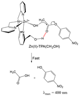 Graphical abstract: Single-site hydrogen-bond modulation enhances catalytic ester hydrolysis in a Zn(ii)–TPA scaffold
